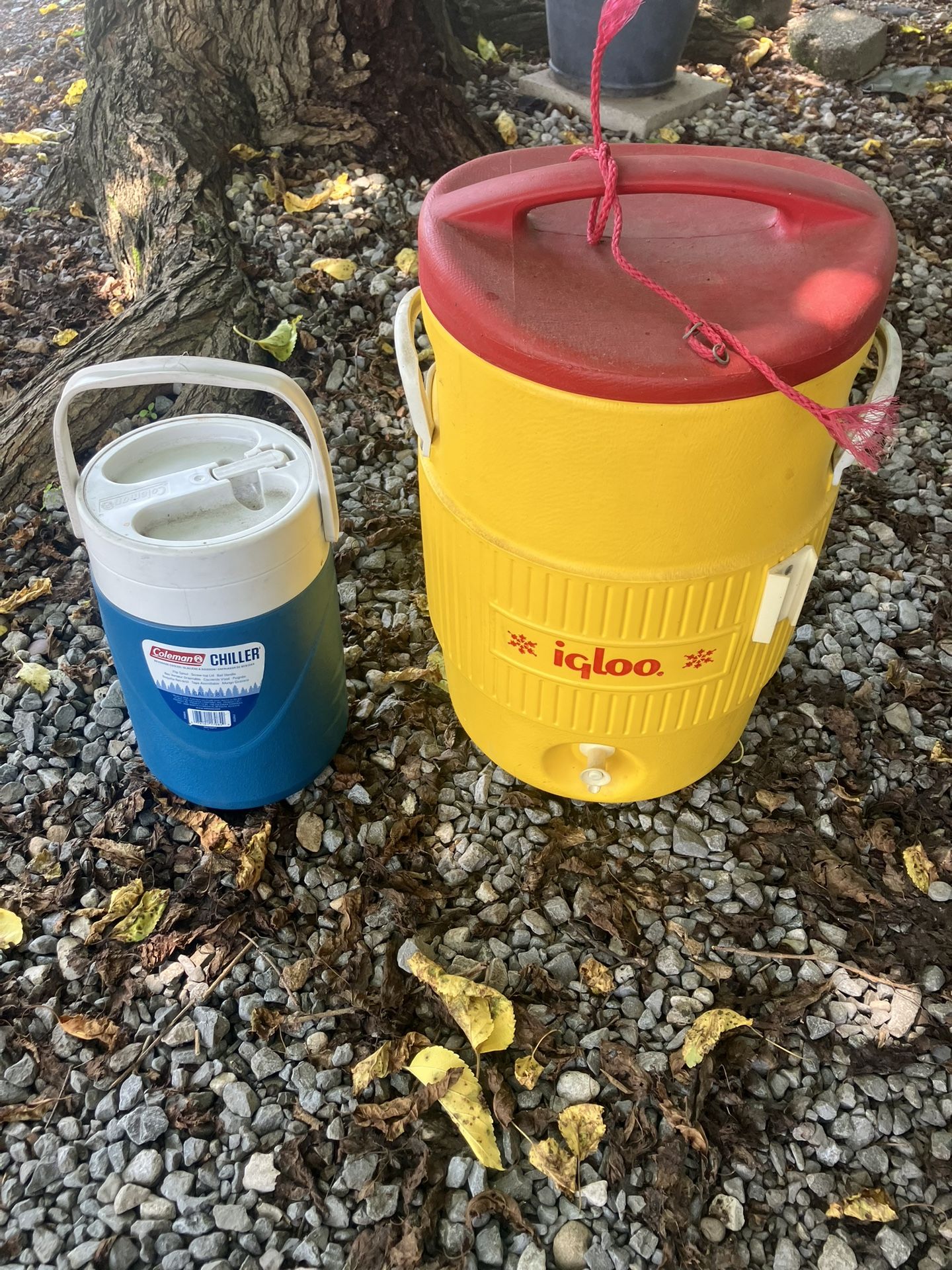 Water Coolers