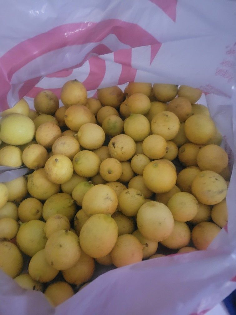 Limones 