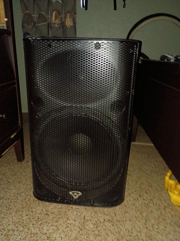 Surwinvega 15" 1500watt Club Speaker