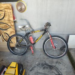 Giant Mountain Bike