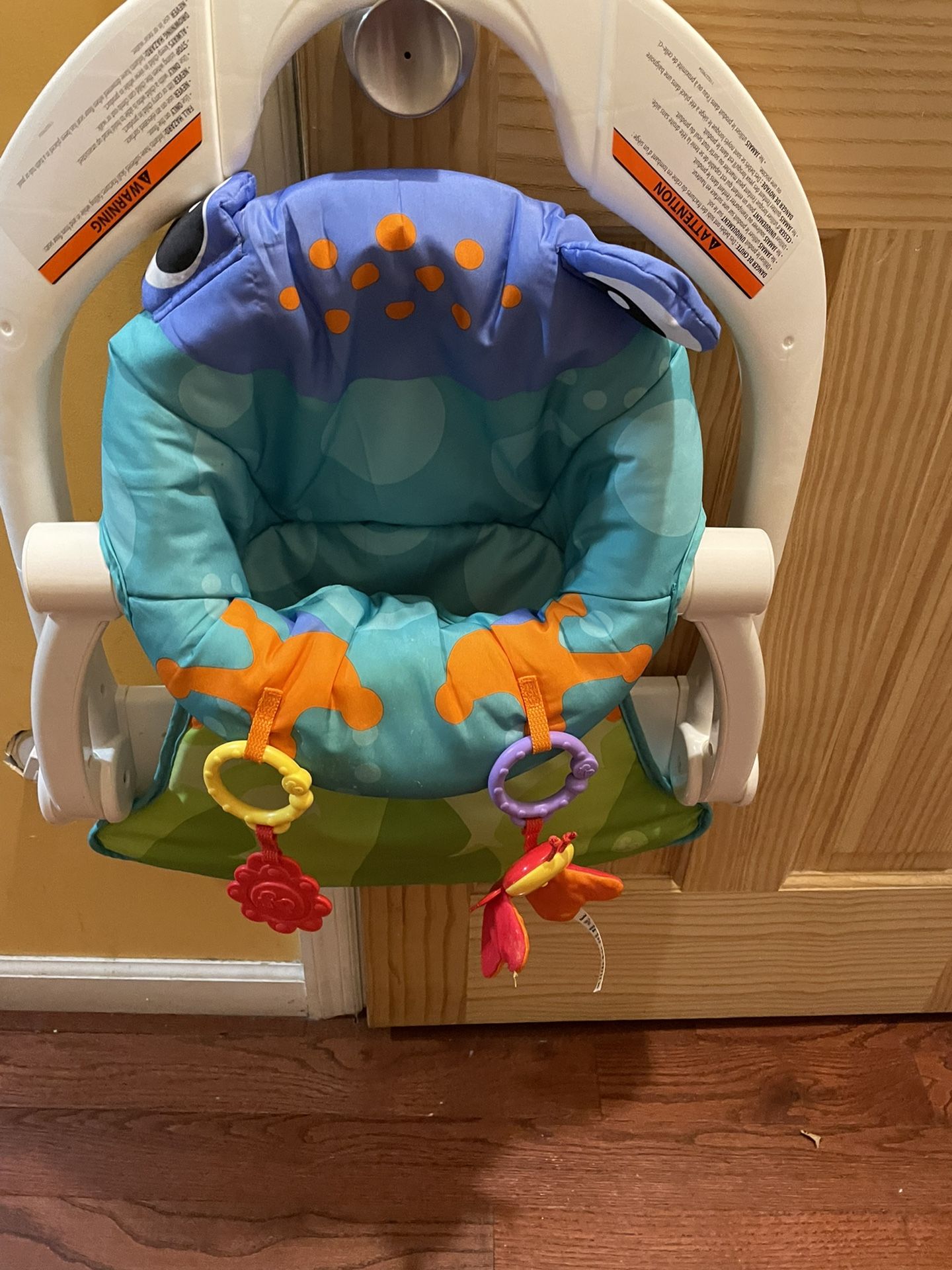 Fisher Price Floor Seat