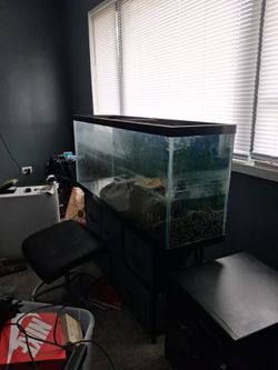 70 gallon aquarium red eared slider and 3 goldfish included