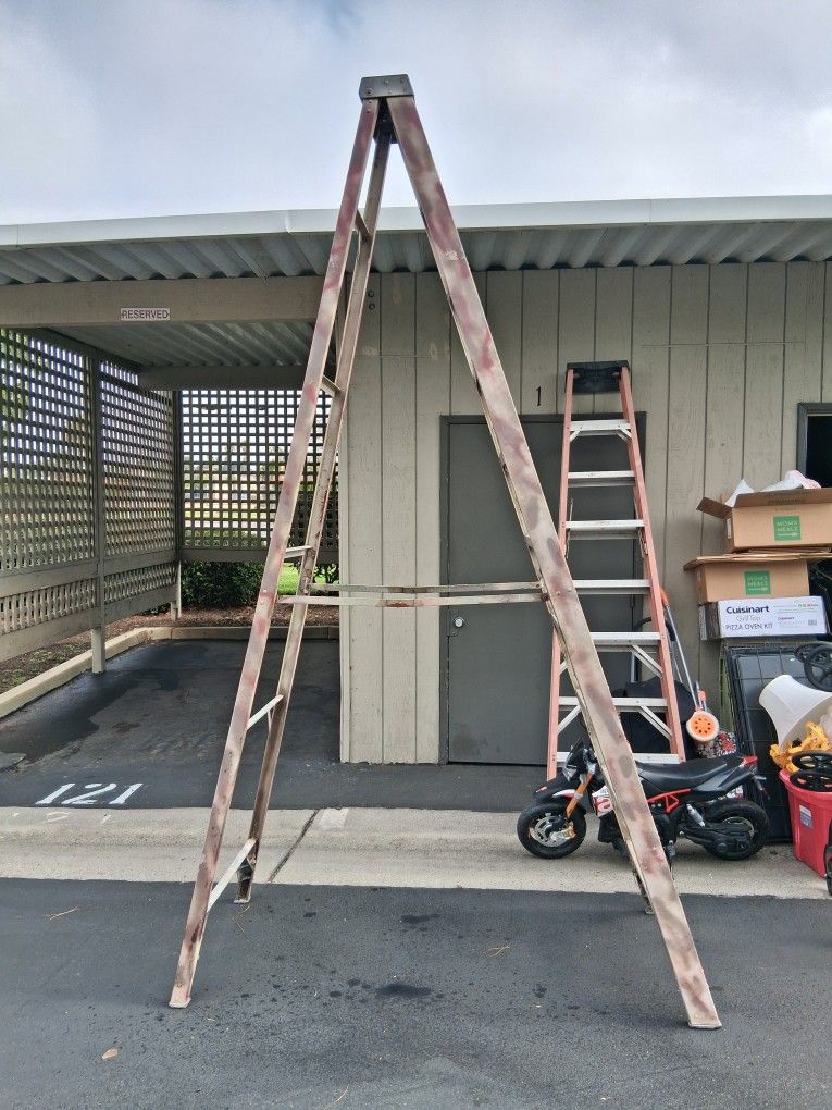 Werner Fiberglass Step Ladder 