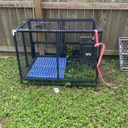 Dog Cage 