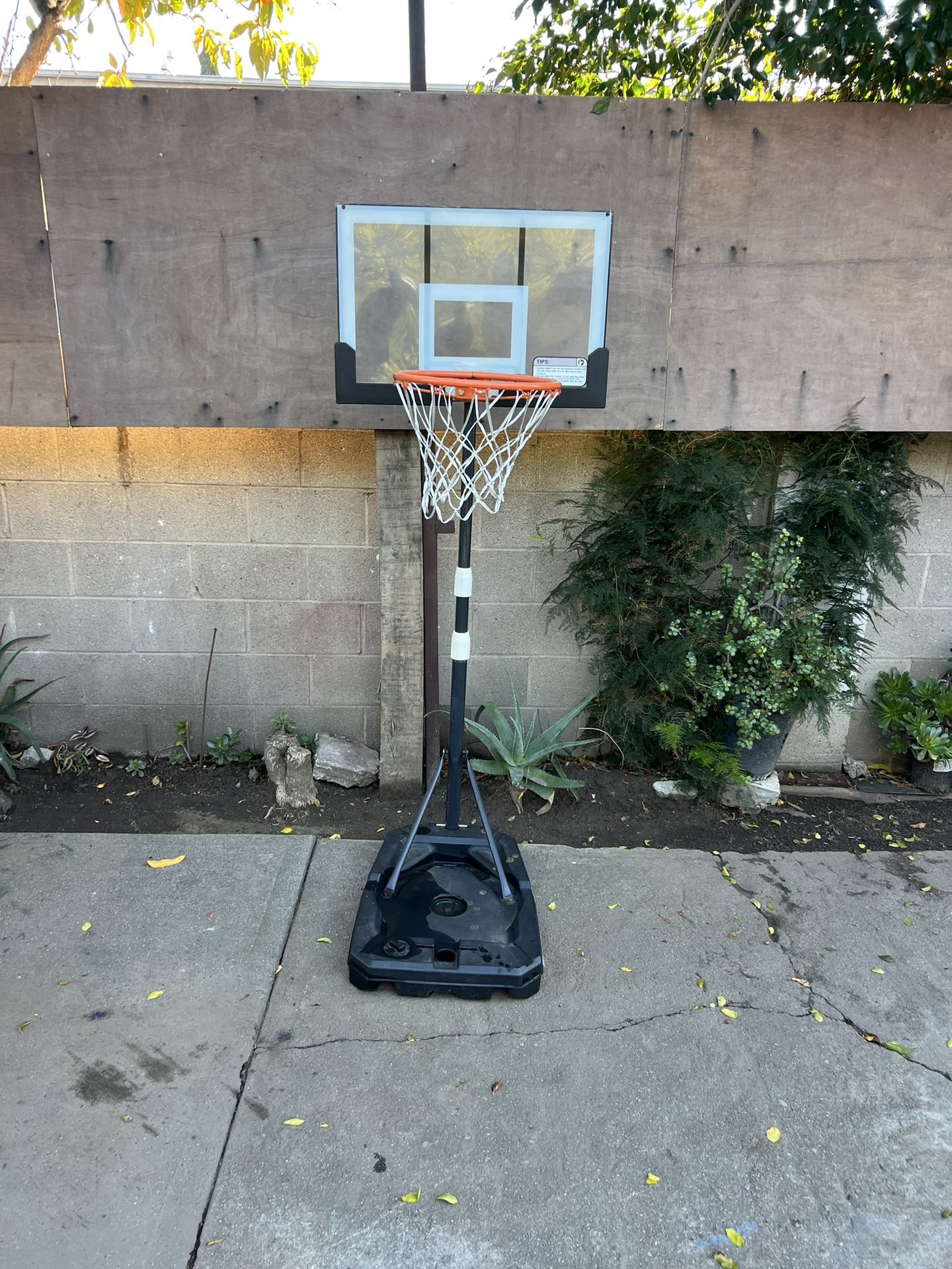 Basketball Hoop
