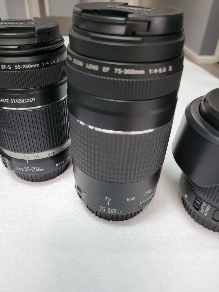 Canon Ef 75-300