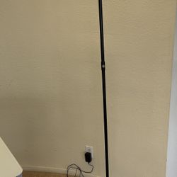  Title: Modern Black Floor Lamp – Excellent Condition
