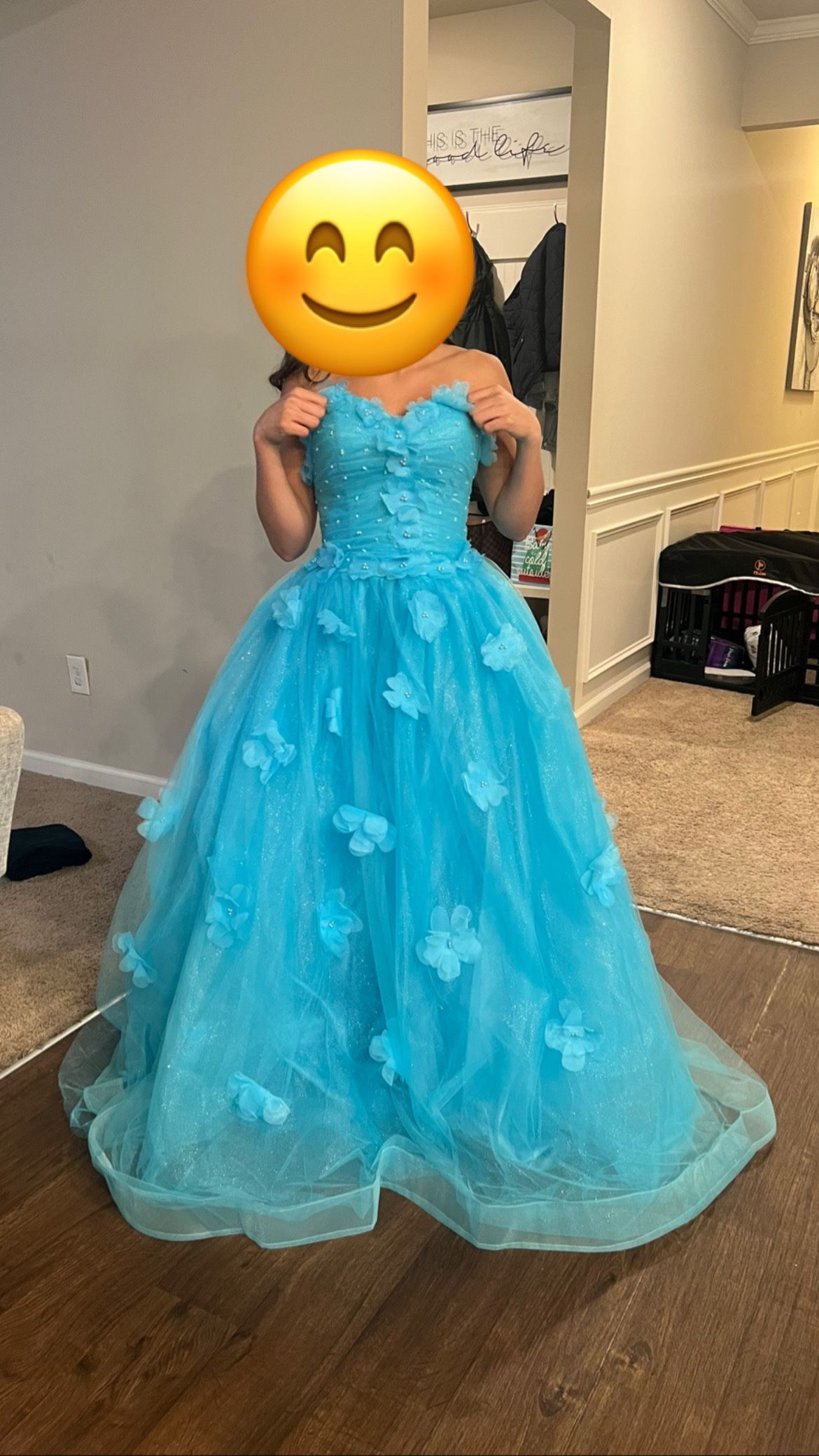 Quinceanera Dress