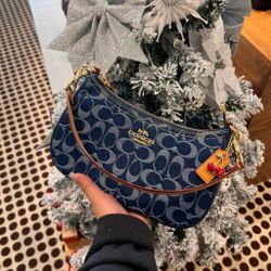 NWT Coach Teri Mini Crossbody Bag In Signature Denim