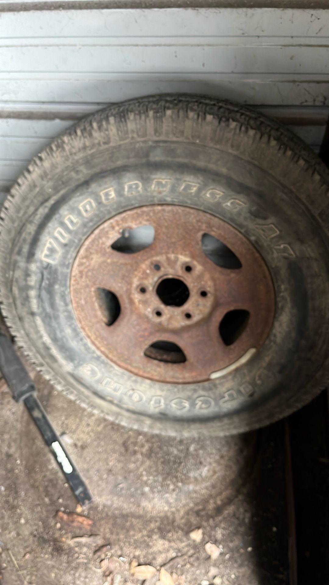 Tire With Rim