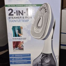 2-N-1 Steamer and Iron