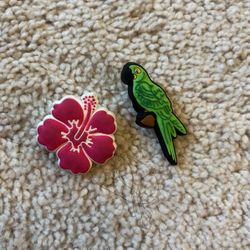Croc Charms