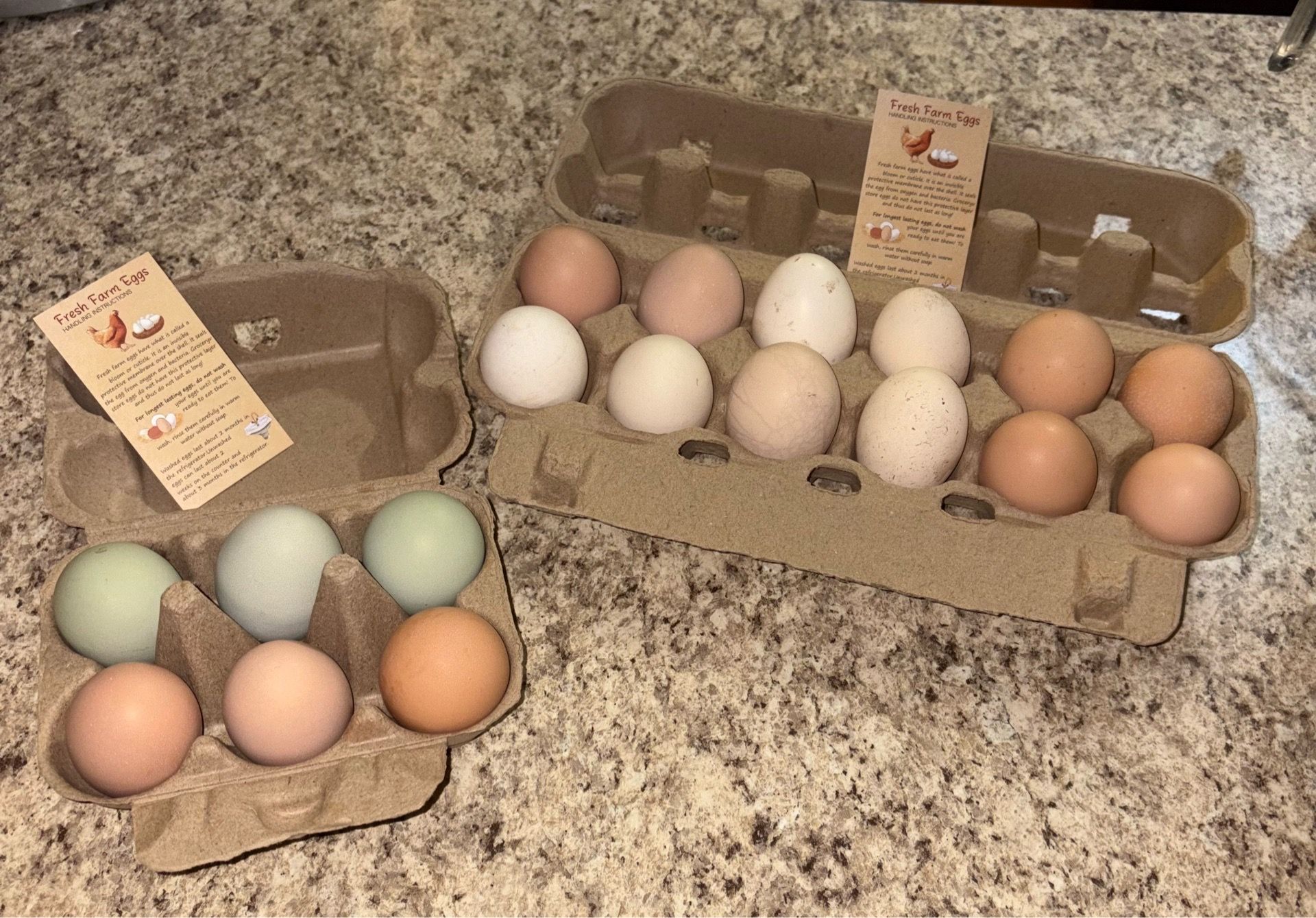 Fresh Farm Eggs