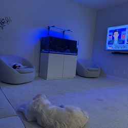 Red Sea REEFER MAX 425 G3 (114.4 Gal)