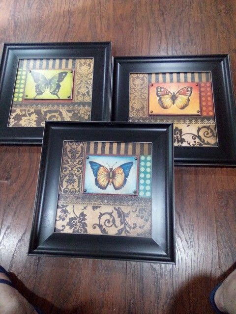 3 18x18 Butterfly Frames