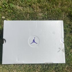 Jordan 13 Court Purple