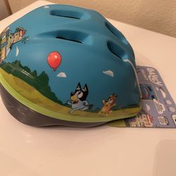 Bluey  Helmet