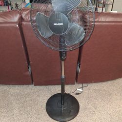 Floor Length Fan 