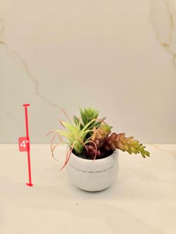 Mini Faux Succulent Arrangement in White Pot