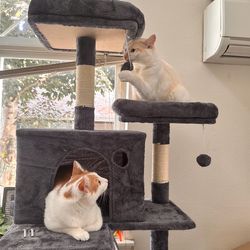 6ft 10 in cat tree