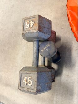 Dumbbells And Rack