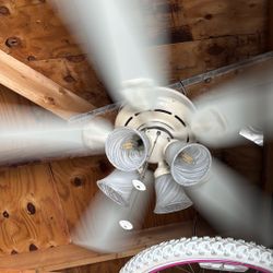 Ceiling Fan White