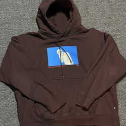 Brown Nike Hoodie 