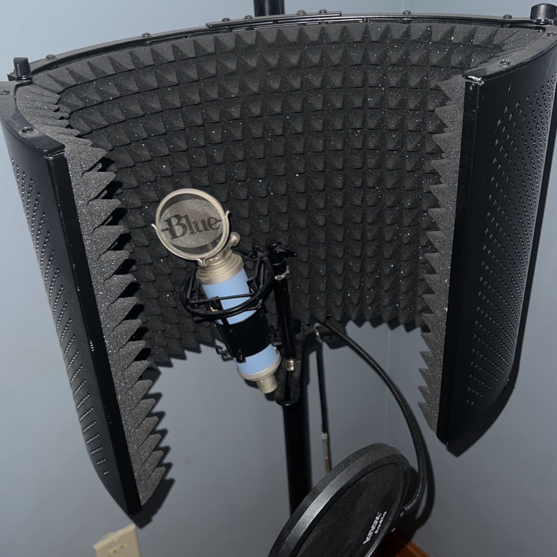 Blue Bluebird Microphone With Acoustic Stand And Mic Cover