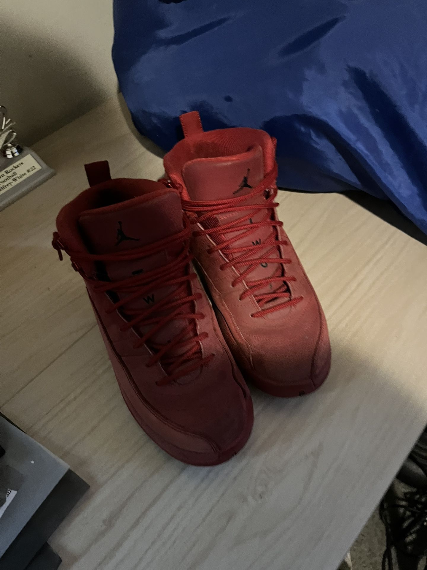 jordan 12s