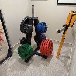 Assortment Of Gym Equipment Weights. All Sizes 