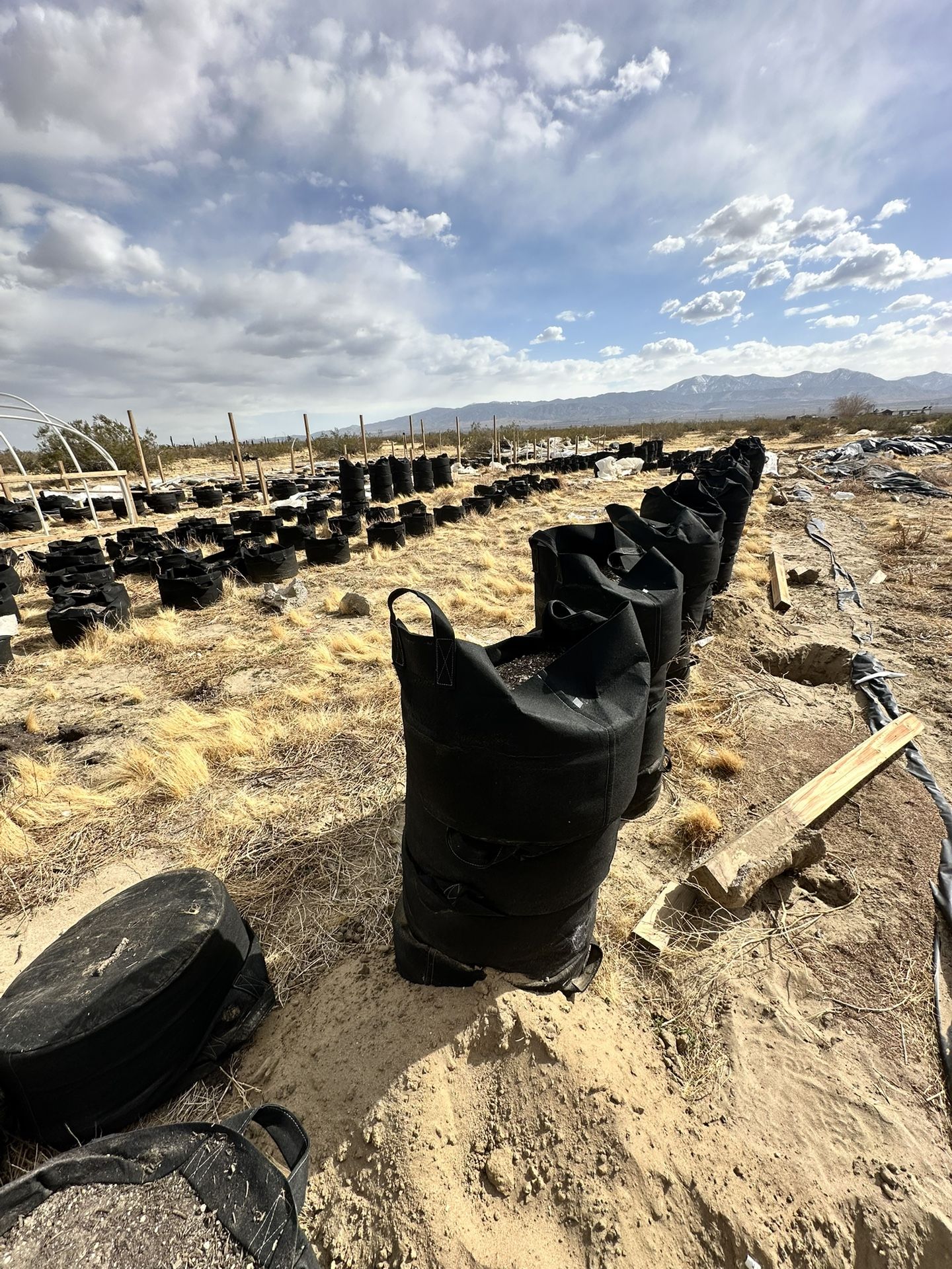Bolsas con tierra para sembrío