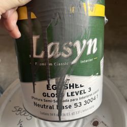 Rodda Lasyn – 1 Gallon – Eggshell Interior Acrylic – Zen Retreat (½ Full)
