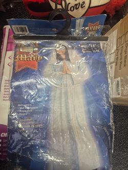 Biblical Times Mary Girls Costume