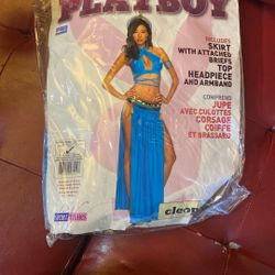 Playboy Halloween costume