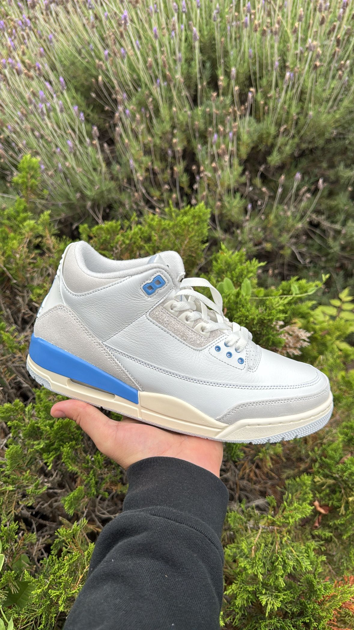 Jordan 3 Lucky Shorts Size 9.5 Brand New 