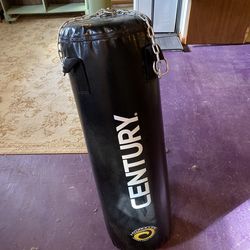 Century Hydrocore Punching Bag