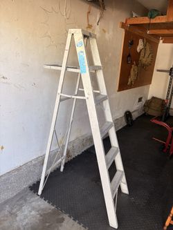 6ft Ladder