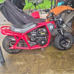 shoot Me OffersColeman B200 New