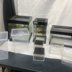 Reptile & Insect Enclosures Lot – Glass Tanks + Acrylic Bug Containers