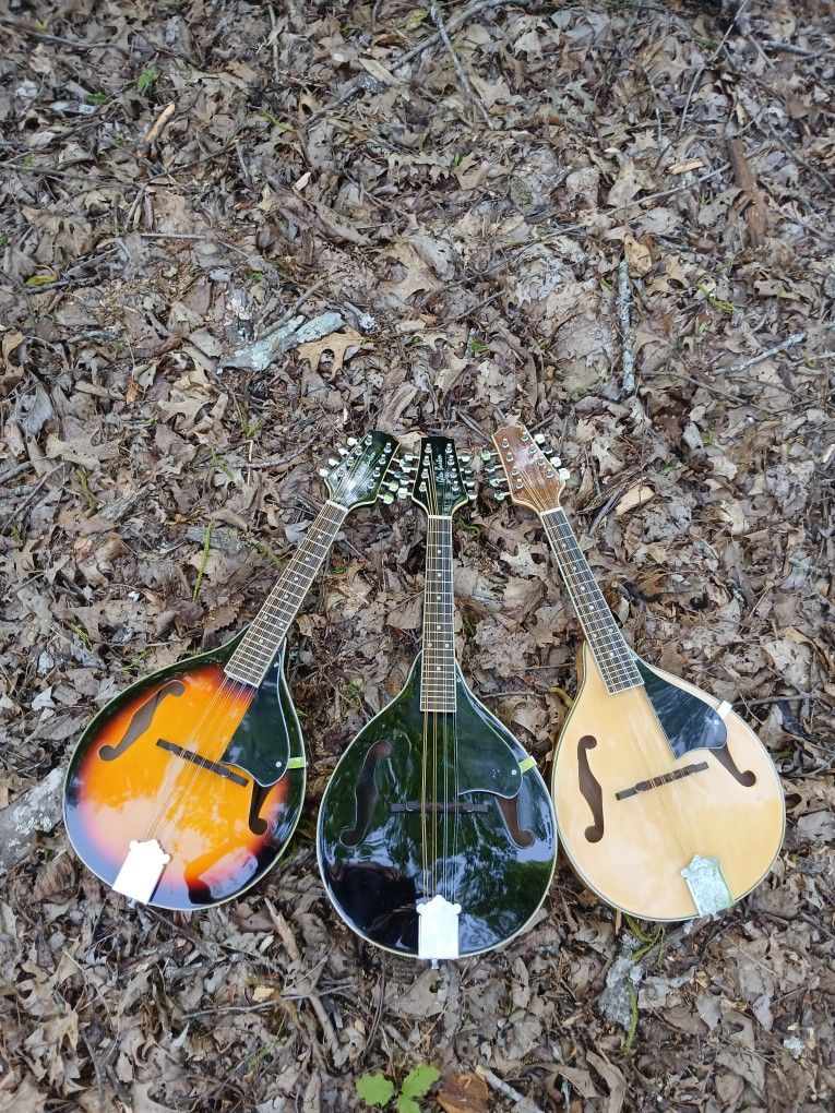 Brand New Mandolin, Your Choice $145