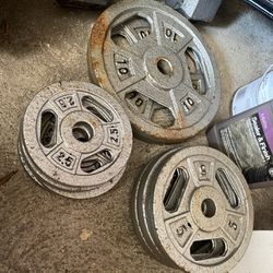 Total 10- 2" Weight Plates- All For 10 For $120