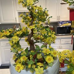Fake Yellow Mai Plant