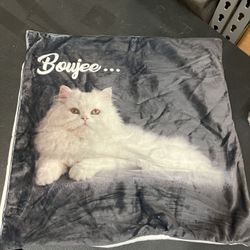 Cat 🐈  Pillow Case 