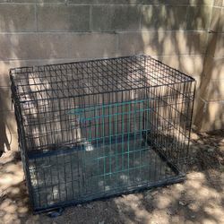 Dog Kennel