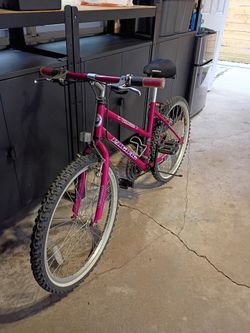 Pacific Wildfire 24" Mountain Bike – Ready to Ride – Pink/Purple