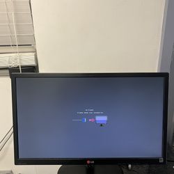 LG Monitor 24 inch (HDMI, DVI, VGA Ports)