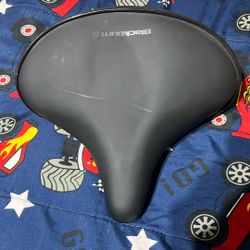 Bike Seat