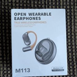 Open Wearable Earphones M113