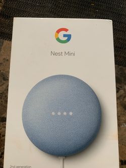 Nest mini