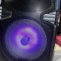 Max power Portable Speaker W/microphone